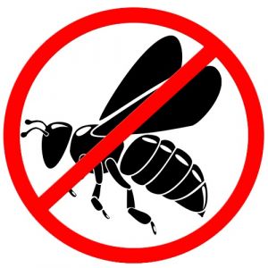 Борьба с пчелами (фото)